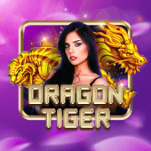Dragon Tiger SG771 Casino